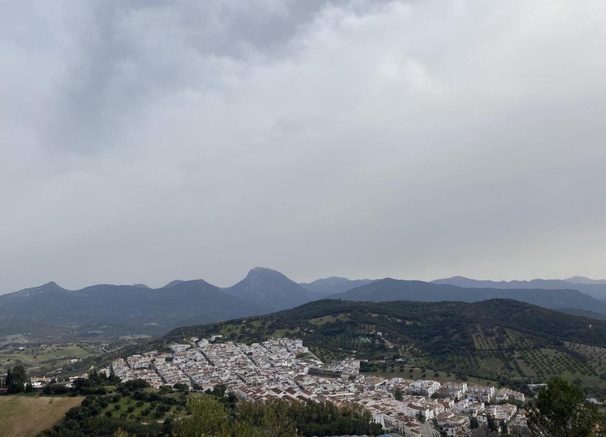 Apartamento Rural Prado Del Reyアパートメント エクステリア 写真